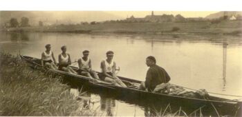 Ruderer auf der Aller